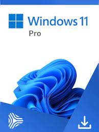 Windows 11 Pro